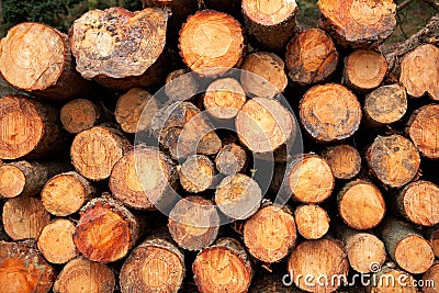 Logs stacked Stock Photo