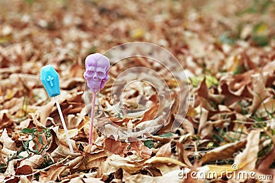 Lollipops in shape of skull and coffin, at autumn leaves on the ground. Concept of mystical holiday like halloween or mexican el d Stock Photo