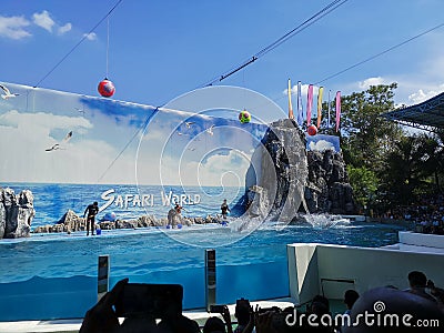 A Loma show in a big pool at Safari World & x28;an open air zoo in Bangkok, Thailand& x29; Editorial Stock Photo