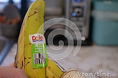 London Canada, April 20 2019: Editorial illustrative photo of a banana peel that has a Dole sticker that says Costa Rica Editorial Stock Photo