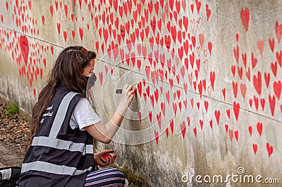 LONDON, ENGLAND- 31 March 2021: Volunteer adding love hearts to The National Covid Memorial Wall near St Thomas` Hospital Editorial Stock Photo