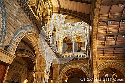 LONDON. England - 08/20/2019: The Natural History Museum houses specimens of life and earth sciences that include articles on Editorial Stock Photo