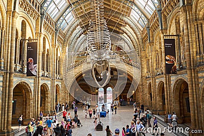 LONDON. England - 08/20/2019: The Natural History Museum houses specimens of life and earth sciences that include articles on Editorial Stock Photo