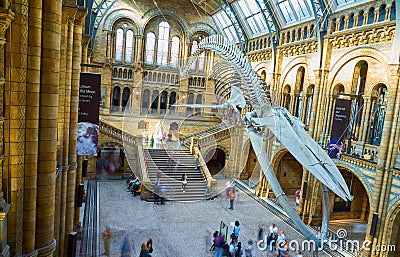 LONDON. England - 08/20/2019: The Natural History Museum houses specimens of life and earth sciences that include articles on Editorial Stock Photo