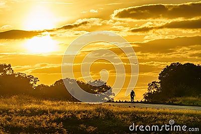 London, Enlgand - September 7 2018: two cyclists cycling through Richmond Park one early autumn evening, on September 7 2018, in Editorial Stock Photo