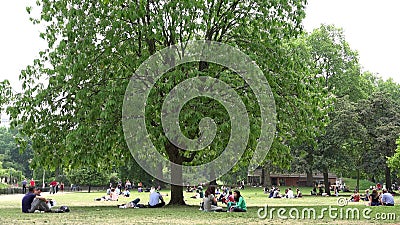 London James`s Park, People Touristes Relaxen auf Gras im Picnic London James`s Park, People Touristes Relaxen auf Gras im Picnic