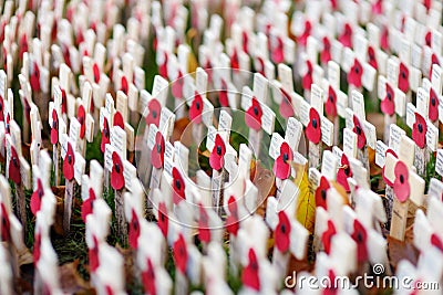 LONDON, UK - NOVEMBER 19, 2017: Poppy crosses at the Westminster Abbey Field of Remembrance, to remember military and civilians wh Editorial Stock Photo