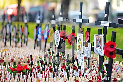 LONDON, UK - NOVEMBER 19, 2017: Poppy crosses at the Westminster Abbey Field of Remembrance, to remember military and civilians wh Editorial Stock Photo