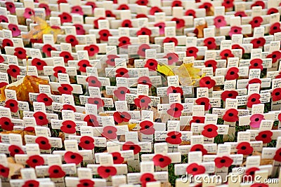 LONDON, UK - NOVEMBER 19, 2017: Poppy crosses at the Westminster Abbey Field of Remembrance, to remember military and civilians wh Editorial Stock Photo