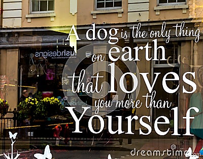 A dog is the only thing on Earth that loves you more than yourself Editorial Stock Photo