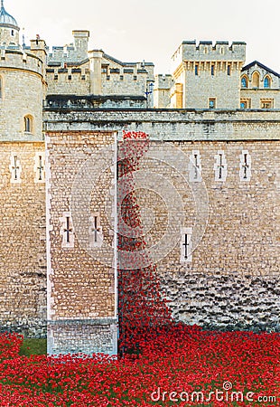 London, United Kingdom - 12 Nov 2014: Ceramic poppies installation for Remembrance Day at the Tower of London Editorial Stock Photo