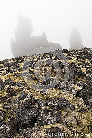 Londrangar Moss, Very Foggy - Vertical Stock Photo