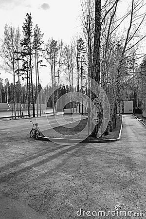 A lone Bicycle in the Park Stock Photo