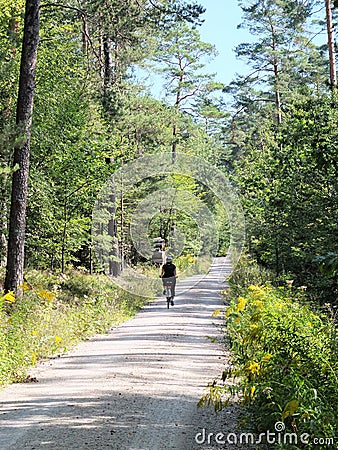 Lone bicycle rider on apathy through dense pine forest und blue sky and sunshine Stock Photo