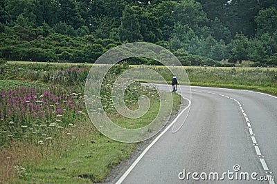 A lone cyclist rides next to a field of wildflowers Stock Photo