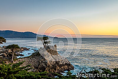 Lone Cypress tree view at sunset along famous 17 Mile Drive - Monterey, California, USA Editorial Stock Photo