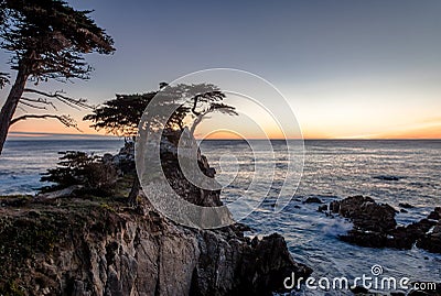 Lone Cypress tree view at sunset along famous 17 Mile Drive - Monterey, California, USA Editorial Stock Photo