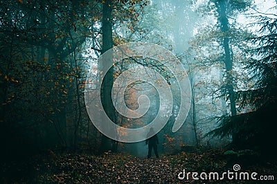 A lone figure stands in an spooky foggy forest looking out Stock Photo