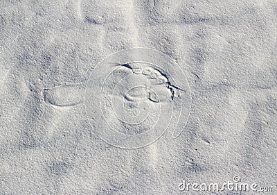 Lone footprint on white sand Stock Photo