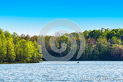 A lone kayaker paddles across the waters of Worster Lake at Potato Creek State Park in North Liberty, Indiana Stock Photo