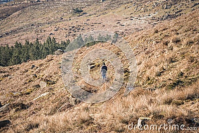 Lone man lost walking in barren countryside Peak District nature all alone no other people. Scenic forest in distance. Stock Photo