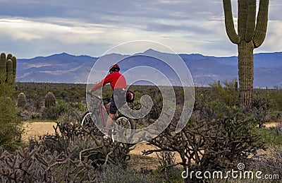 Man Mountain Biking In Arizona Desert Editorial Stock Photo