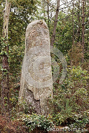 A lone menhir in a forest near Erdeven in Brittany Stock Photo
