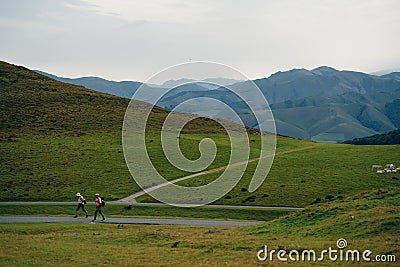 Lone pilgrim walking the Camino de Santiago through the Pyrenees. France - nov, 2021 Editorial Stock Photo