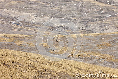 Lone rider on a horse in the mountain steppe Stock Photo
