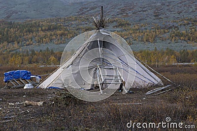 The lone tent of reindeer with sleds. Stock Photo