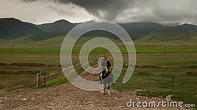 Lone Tibetan rider Editorial Stock Photo