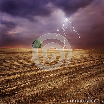 Lone tree and lightning Stock Photo