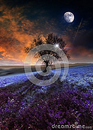 Lone tree night fantasy landscape Stock Photo