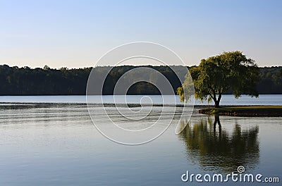 Lone Tree on the River Stock Photo
