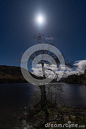 A lone tree on the shore of Ullswater in the English Lake District on a Moonlit night Stock Photo