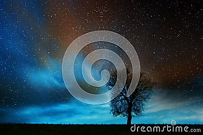 Lone tree in starry night Stock Photo