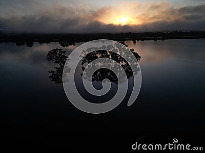 Lone trees in a morning mirror landscape Stock Photo