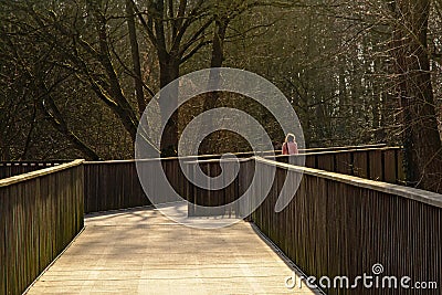 Lone women on a walkway in a sunny winter marsh Editorial Stock Photo