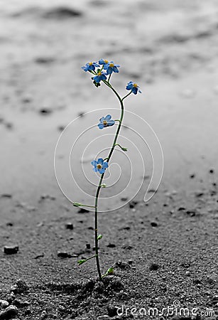 Loneliness Stock Photo