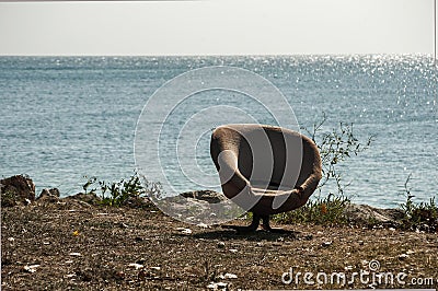 Lonely abandoned chair on the seashore Stock Photo