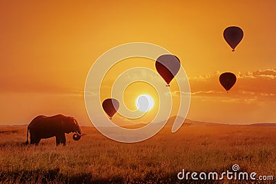 Lonely african elephant against the sky with balloons at sunset. African fantastic image. Africa, Tanzania, Serengeti National Pa Stock Photo