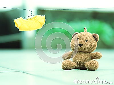 Lonely bear Stock Photo