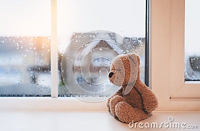 Lonely bear toy sitting alone looking out of window, Sad teddy bear doll sitting next to window in rainy day, Loneliness, Abuse Stock Photo