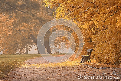 Lonely bench in beautiful city park, fallseason outdoor background Stock Photo