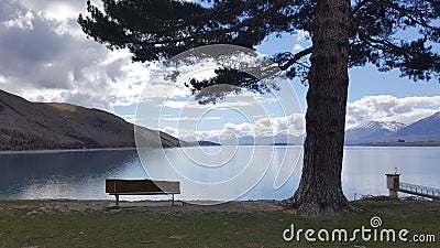 Lonely bench and tree by the lake side Stock Photo