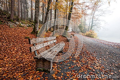 Lonely Benches Stock Photo