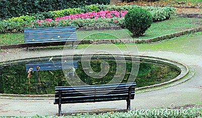 Lonely benches Stock Photo