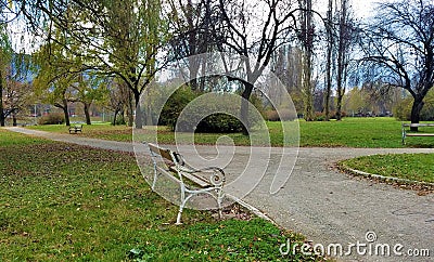 Lonely benches in the park Stock Photo
