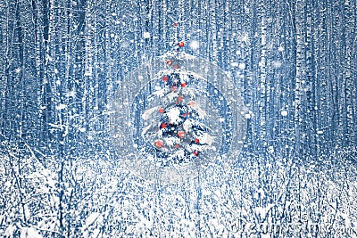 Lonely blue spruce with red christmas decorations in a snowy winter forest. Stock Photo