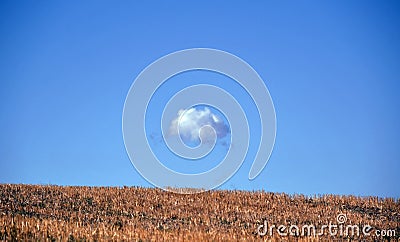 A lonely cloud Stock Photo